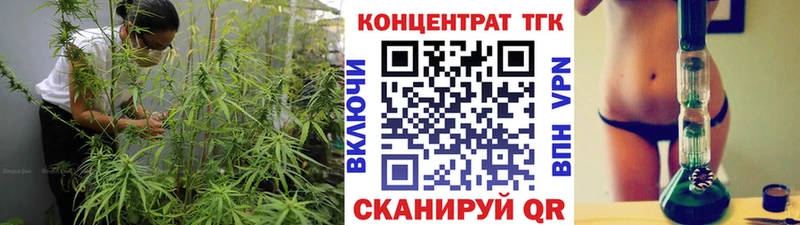 ТГК концентрат  Новосокольники 